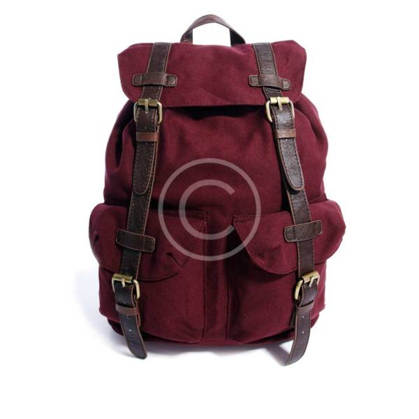 Travel Backpack